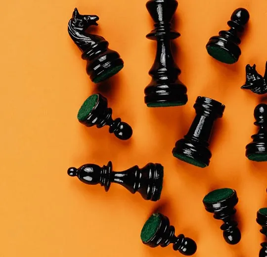 Pieces of chess